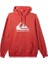 Bıg Logo Hood 2