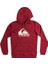 Bıg Logo Hood 3