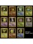 Yenı 11 Adet 1996 Yıl Dıy Pokemon Flash Kartlar Charizard Blastoise Venusaur Ninetales Mewtwo Zapdos Oyun Koleksiyonu Kartları Oyuncaklar (Yurt Dışından) 3