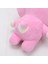 Yfashion Kpop Bts BT21 Tan Boys Peluş Yastık Doldurulmuş Oy Bebekler Ata Cooky Mmy Shooky Mang Koya Yükseklik: 17-40CM (Yurt Dışından) 4