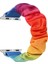 Apple Watch 3/4/5/6 Elastik Gökkuşağı Tasarım Kordon Kayış 42mm - 44mm, 38 mm - 40 mm 1