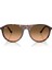 Rb 2215 14293B 56 Ray-Ban Kadın Güneş Gözlüğü 5