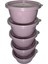 Tick Tock Hava Sızdırmaz Saklama Kabı 5'li Set 5 x 250 ml Pudra 2