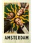 Amsterdam (2022) 1 ( Folyo ) - Afiş - POSTER-1311 ( 50 cm x 70 cm ) 1