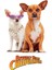 Beverly Hills Chihuahua (2008) 1 ( Folyo ) - Afiş - POSTER-1744 ( 50 cm x 70 cm ) 1