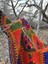 Çukurçimen Kök Boyası Yün El Dokuması Kilim Buram Buram Emek Kokan Çukurçimen Kilimi Halısı 100 x 160 3