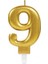 Büro Ev Dekoru Için 9 Rakam Golden Mum 1
