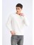 Regular Fit Bisiklet Yaka Dokulu Jakarlı Sweatshirt 3
