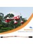 5 Adet Evrensel 3.6V-24V 5A Servo Sinyal Çevirici Rc Jr Uçak V-Kuyruk Için (Yurt Dışından) 5