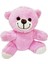 Sevimli Peluş Pembe Ayıcık 2