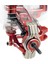 1/12 UD1201 UD1202 UD-12PRO Rc Araba Yükseltme Parçaları Kırmızı (Yurt Dışından) 2