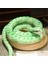 Simülasyon Python Peluş Oyuncak Hediye Yeşil Python (Yurt Dışından) 4