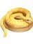 Simülasyon Python Peluş Oyuncak Hediye Altın Python (Yurt Dışından) 1