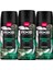 Premium Collection Erkek Sprey Deodorant Emerald Sage 150 ml X3 2