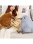 Gerçekçi Kiwi Kuş Peluş Oyuncak Gri Kiwi Kuş Doldurulmuş Vücut Yastığı B (Yurt Dışından) 5