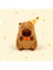 Capybara Peluş Bebek Sevimlianime Tüylü Oyuncak Kawaii Peluş Bebek Hediyesi (Yurt Dışından) 2