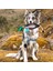 Yavru Köpekleri Eğitmek Için Ördek Kukla Tamponu Taklitçileri (Yurt Dışından) 3