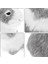 Gine Domuzu Peluş Oyuncak Peluş Hayvan Bebeği Gerçekçi Hamster Modeli (Yurt Dışından) 3