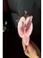 Pembe Renk Aloha Orkide Mandal Toka 3