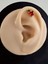 Kırmızı Elma Model Kıkırdak Piercing Tragus Helix Altın Kaplama Gold Renk Küpe 3