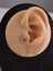 Halka x Artı Model Kıkırdak Piercing Tragus Helix Altın Kaplama Gold Renk Küpe 2