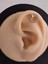 Halka x Artı Model Kıkırdak Piercing Tragus Helix Altın Kaplama Gold Renk Küpe 3