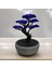 Dekoratif Bonsai Figürü 1