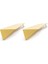 Geometrik Formlu Metal Küpe TS1250068067265 3