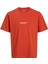 Jorvesterbro Tee Ss Crew Turuncu Erkek Çocuk Kısa Kol T-Shirt 4