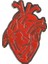 Kalp Şeklinde Medikal Broş P0649 1