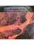 Anderson Bruford Wakeman Howe - Brother Of Mine - Orijinal Dönem Baskı 45'lik Plak 1
