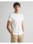 Erkek Basic Bisiklet Yaka T-Shirt 1