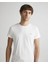 Erkek Basic Bisiklet Yaka T-Shirt 2