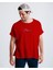 Lewis Hamilton Ferrari Illüstrasyon T-Shirt 2