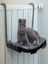 Kedi Yatağı kalorifer peteği uyumlu 1