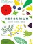 Herbarium / One Hundred Herbs · Grow · Cook · Heal - Caz Hildebrand 1