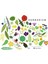 Herbarium / One Hundred Herbs · Grow · Cook · Heal - Caz Hildebrand 2
