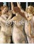 Botticelli / Masters Of Art - Federico Poletti 1