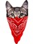 9 x 4,5 cm Kedi Cat Oto Cam Motor Laptop Telefon Sticker 1