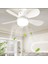 CT-1154 Lodos Fan ve LED Ampul 62W Dimmerli 1