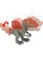 HTP71 Spinosaurus Kafes Oyun Seti 3