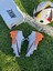 Air Zoom Krampon Ithal Yeni Sezon 1