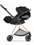 Mios (Rosegold-Sephia Black) 3