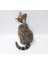 30 cm Peluş Oyuncak Sesli Kedi 5