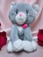 Kucak Dolusu Tatlı Pati-Yumuşacık Peluş Kedi 40 cm 3