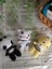 Amigurumi Organik Örgü Oyuncak Uyku Arkadaşı (Inek, Panda, Arı) 1