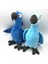 Rio2 Papağan Peluş Oyuncak Yumuşak Doldurulmuş Hayvanlar Bebek Çekmeye Dayanıklı Sıkma Yoğurma Çocuklar Doğum Günü Leri (Yurt Dışından) 2