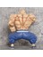 23 cm Dragon Ball Cs Büyük Kas (Yurt Dışından) 2