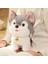 Childrenworld Peluş Husky Oyuncak Sevimli Ifade Süper Sevimli Kabarık Husky Köpek Bebek (Yurt Dışından) 1