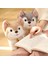 Childrenworld Peluş Husky Oyuncak Sevimli Ifade Süper Sevimli Kabarık Husky Köpek Bebek (Yurt Dışından) 3